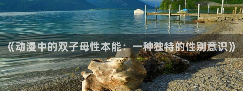 哈哩哈哩18：《动漫中的双子母性本能：一种独特的性别意识》