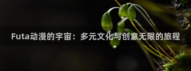 哈哩哈哩官网halihaliin在线观看：Futa动漫的宇宙：多元文化与创意无限的旅程